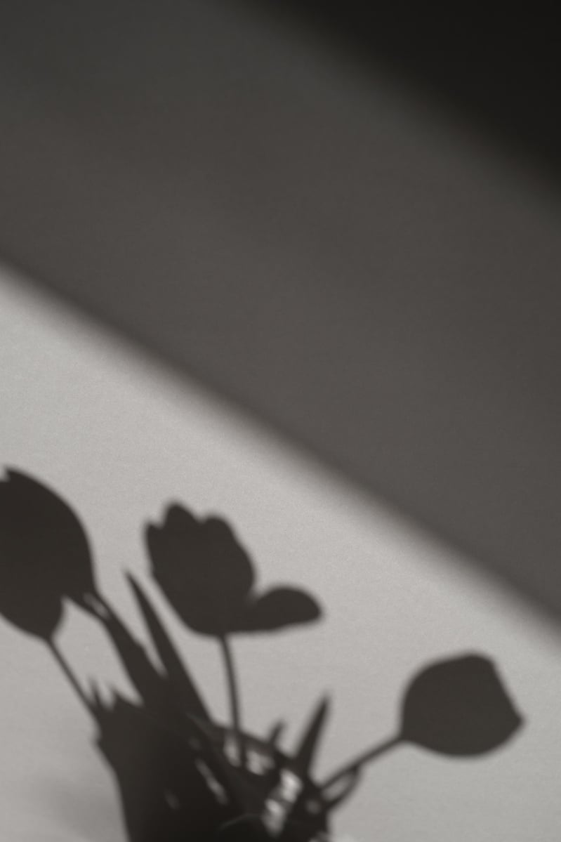 Shadows of Flowers 